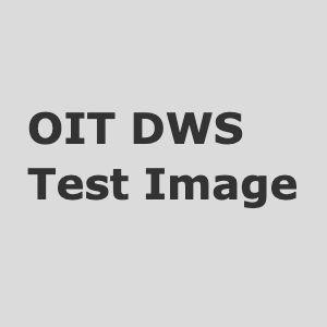 oit dws test image